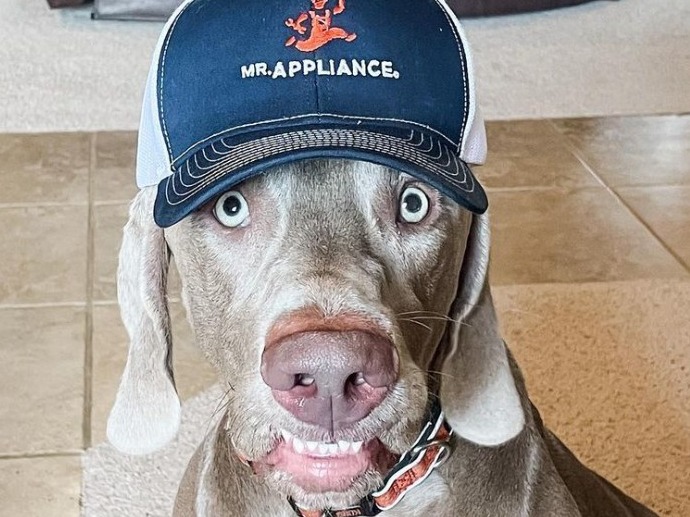 #appliancesurprise #applaincesSunCity