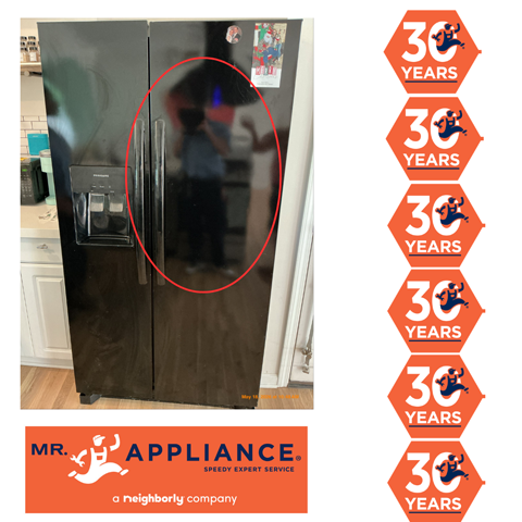 Fridge Fan Replacement