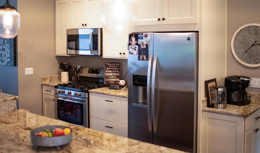 Appliance trends: Show focuses on colors, cooking times