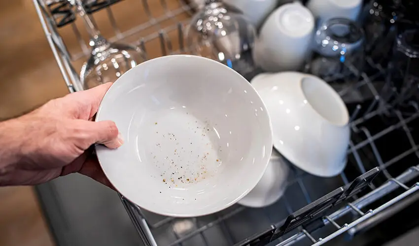 Person holding a dirty bowl after a wash cycle