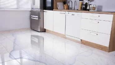 Refrigerator Leaking Water