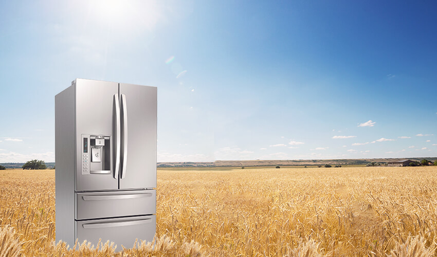 Can You Store a Refrigerator Outside?