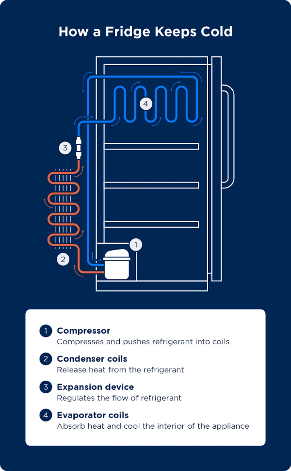Diagram illustrating how a fridge keeps cold