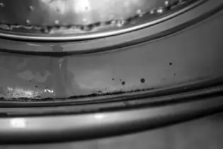 Front-loading washing machine with mold growing on the door gasket